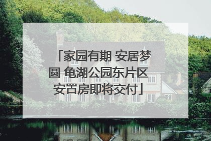 家园有期 安居梦圆 龟湖公园东片区安置房即将交付