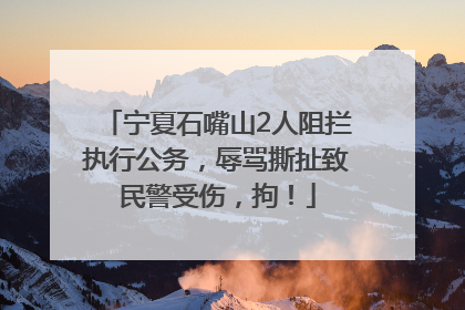 宁夏石嘴山2人阻拦执行公务，辱骂撕扯致民警受伤，拘！