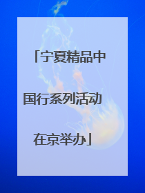 宁夏精品中国行系列活动在京举办