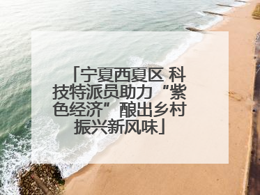 宁夏西夏区 科技特派员助力“紫色经济”酿出乡村振兴新风味