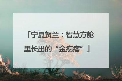 宁夏贺兰：智慧方舱里长出的“金疙瘩”