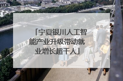 宁夏银川人工智能产业升级带动就业增长超千人