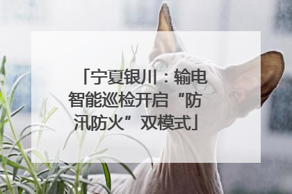 宁夏银川：输电智能巡检开启“防汛防火”双模式