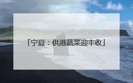 宁夏：供港蔬菜迎丰收