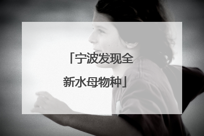 宁波发现全新水母物种