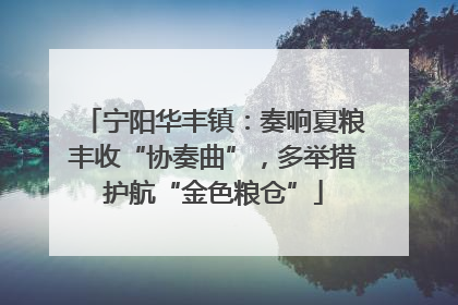 宁阳华丰镇：奏响夏粮丰收“协奏曲”，多举措护航“金色粮仓”