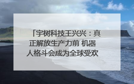 宇树科技王兴兴：真正解放生产力前 机器人格斗会成为全球受欢迎的赛事｜科技观察