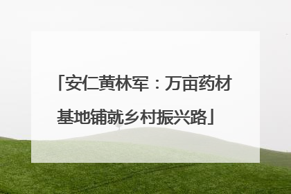 安仁黄林军：万亩药材基地铺就乡村振兴路