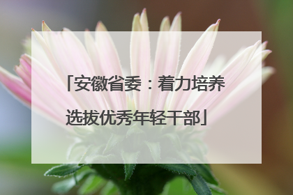 安徽省委：着力培养选拔优秀年轻干部