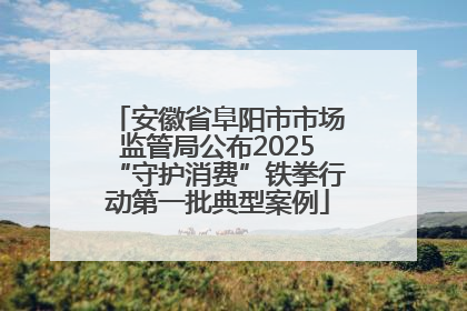 安徽省阜阳市市场监管局公布2025“守护消费”铁拳行动第一批典型案例