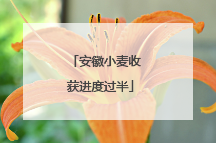 安徽小麦收获进度过半