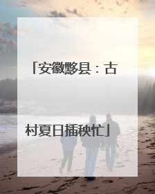 安徽黟县：古村夏日插秧忙