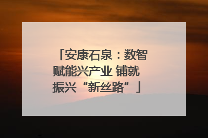 安康石泉：数智赋能兴产业 铺就振兴“新丝路”