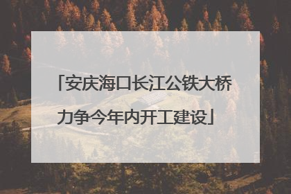 安庆海口长江公铁大桥力争今年内开工建设