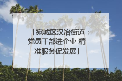 宛城区汉冶街道：党员干部进企业 精准服务促发展