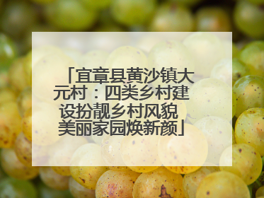 宜章县黄沙镇大元村：四类乡村建设扮靓乡村风貌 美丽家园焕新颜