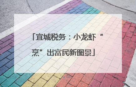 宜城税务：小龙虾“烹”出富民新图景