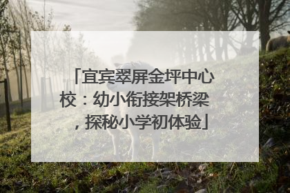 宜宾翠屏金坪中心校：幼小衔接架桥梁，探秘小学初体验