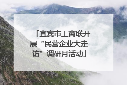 宜宾市工商联开展“民营企业大走访”调研月活动