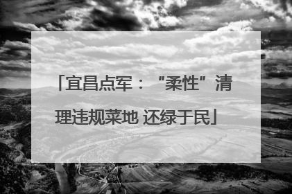 宜昌点军：“柔性”清理违规菜地 还绿于民