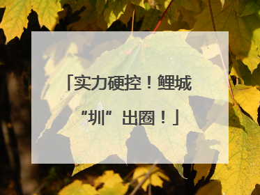 实力硬控！鲤城“圳”出圈！