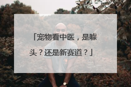 宠物看中医，是噱头？还是新赛道？