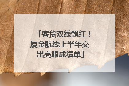 客货双线飘红！厦金航线上半年交出亮眼成绩单