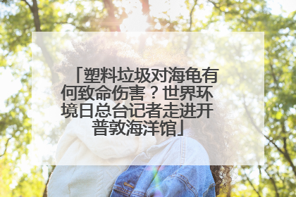 塑料垃圾对海龟有何致命伤害？世界环境日总台记者走进开普敦海洋馆