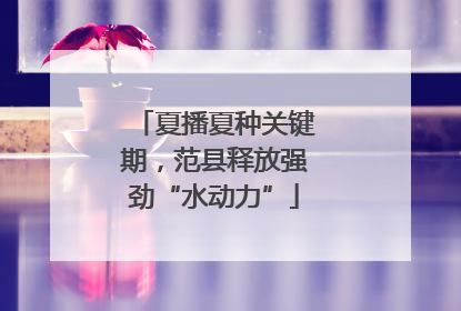 夏播夏种关键期，范县释放强劲“水动力”