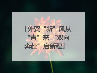 外贸“新”风从“青”来 “双向奔赴”启新程