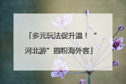 多元玩法促升温！“河北游”圈粉海外客