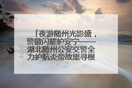 夜游随州光影盛，警徽闪耀护安宁——湖北随州公安交警全力护航炎帝故里寻根节夜游活动侧记