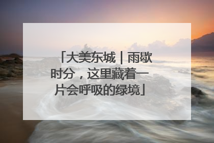 大美东城｜雨歇时分，这里藏着一片会呼吸的绿境