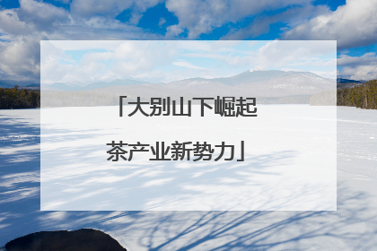 大别山下崛起茶产业新势力