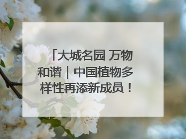大城名园 万物和谐｜中国植物多样性再添新成员！它只在西藏墨脱