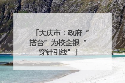 大庆市：政府“搭台”为校企银“穿针引线”