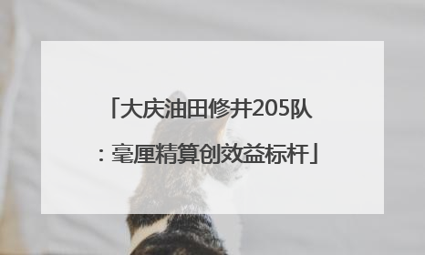 大庆油田修井205队：毫厘精算创效益标杆