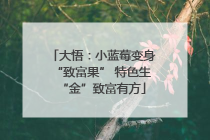 大悟：小蓝莓变身“致富果” 特色生“金”致富有方