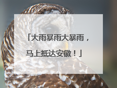 大雨暴雨大暴雨，马上抵达安徽！