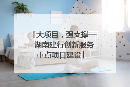 大项目，强支撑——湖南建行创新服务重点项目建设