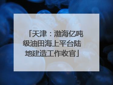 天津：渤海亿吨级油田海上平台陆地建造工作收官