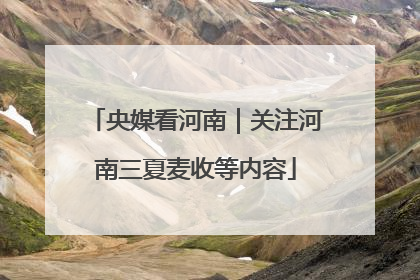 央媒看河南｜关注河南三夏麦收等内容
