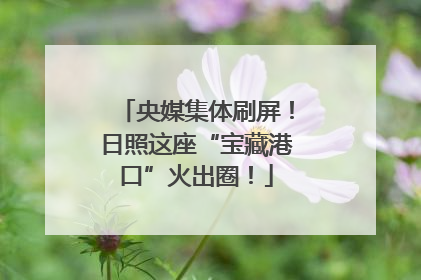 央媒集体刷屏！日照这座“宝藏港口”火出圈！