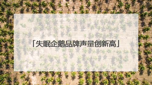 失眠企鹅品牌声量创新高