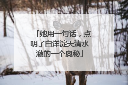 她用一句话，点明了白洋淀天清水澈的一个奥秘