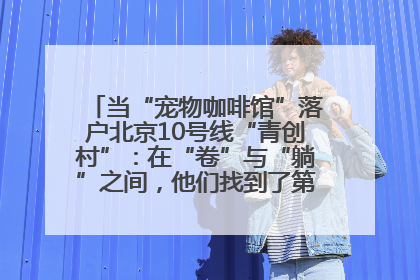 当“宠物咖啡馆”落户北京10号线“青创村”：在“卷”与“躺”之间，他们找到了第三种生活公式