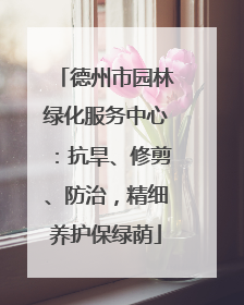 德州市园林绿化服务中心：抗旱、修剪、防治，精细养护保绿荫