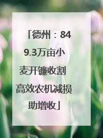 德州：849.3万亩小麦开镰收割 高效农机减损助增收