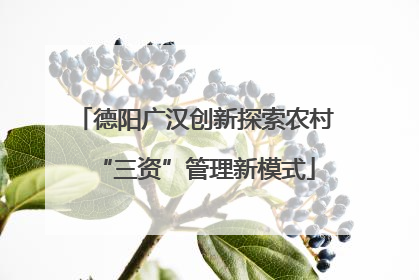 德阳广汉创新探索农村“三资”管理新模式