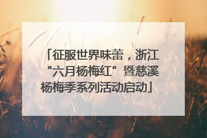 征服世界味蕾，浙江“六月杨梅红”暨慈溪杨梅季系列活动启动